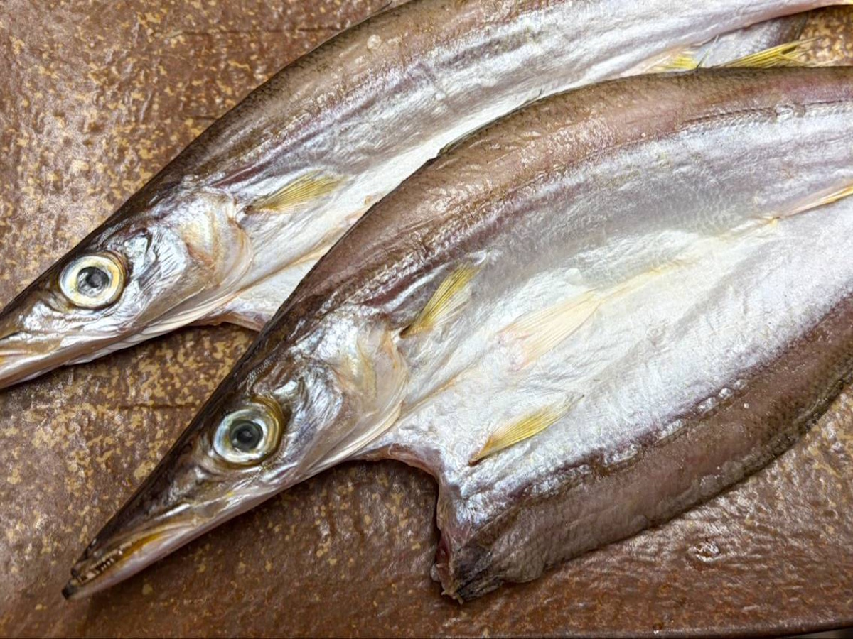 【魚匠の一夜干し】宮城産トロかます