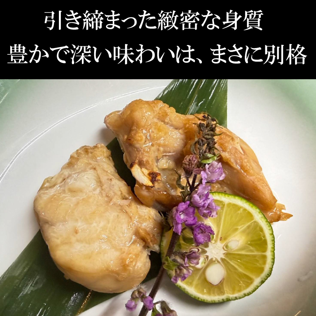 【魚匠の醤油麹】天然とらふぐの醤油麹漬け