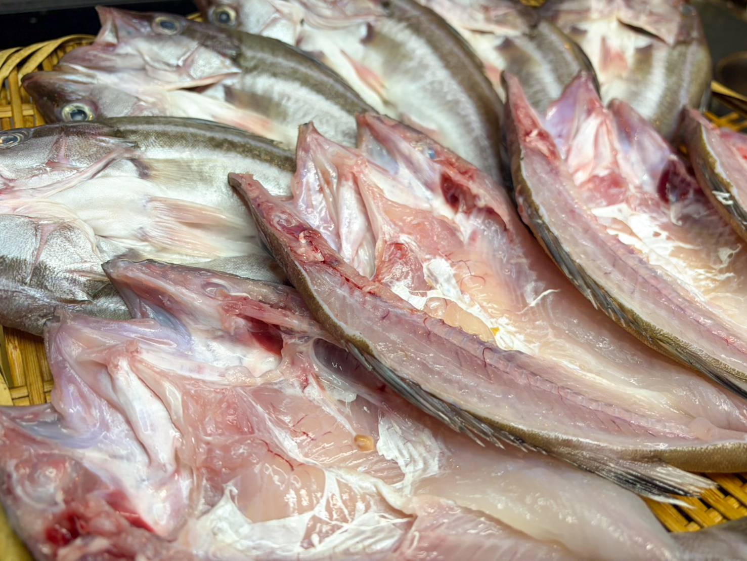 【魚匠の一夜干し】島根産「本」あら～クエと並ぶ最高級魚