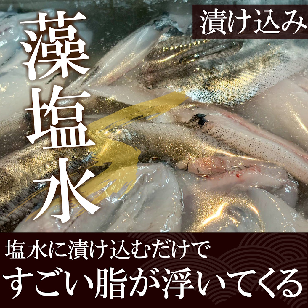【魚匠の一夜干し】愛知県産めひかり