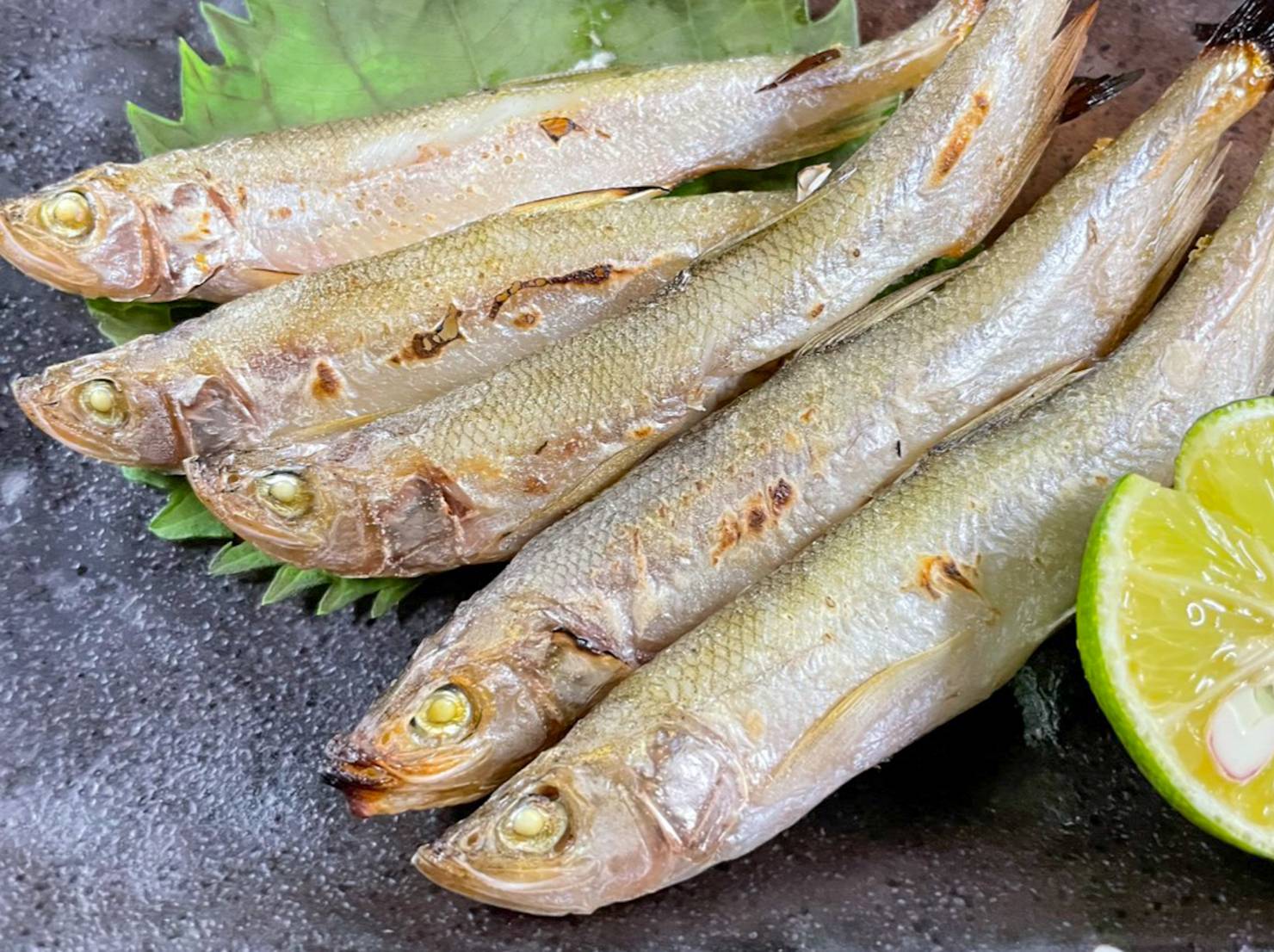【魚匠の一夜干し】北海道の秘宝：本ししゃも（オスメス混合６尾）