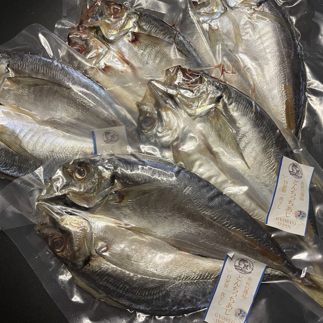 【魚匠の一夜干し】島根産どんちっちあじの一夜干し