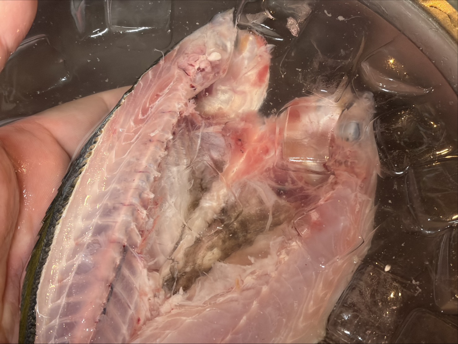 【魚匠の一夜干し】静岡県産極上たかべ