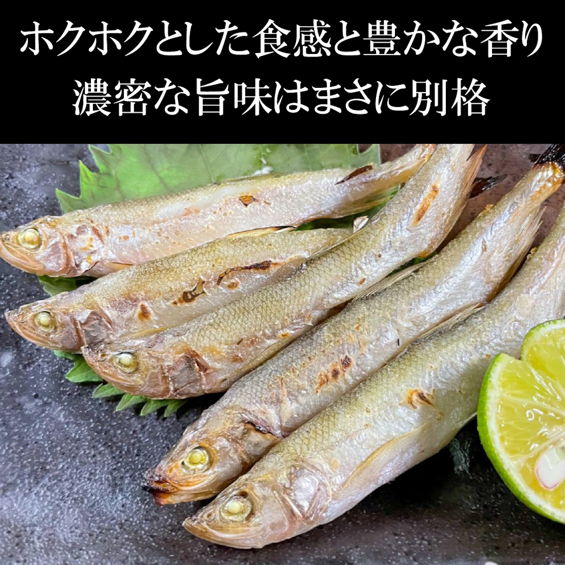 【魚匠の一夜干し】北海道の秘宝：本ししゃも（オスメス混合６尾）
