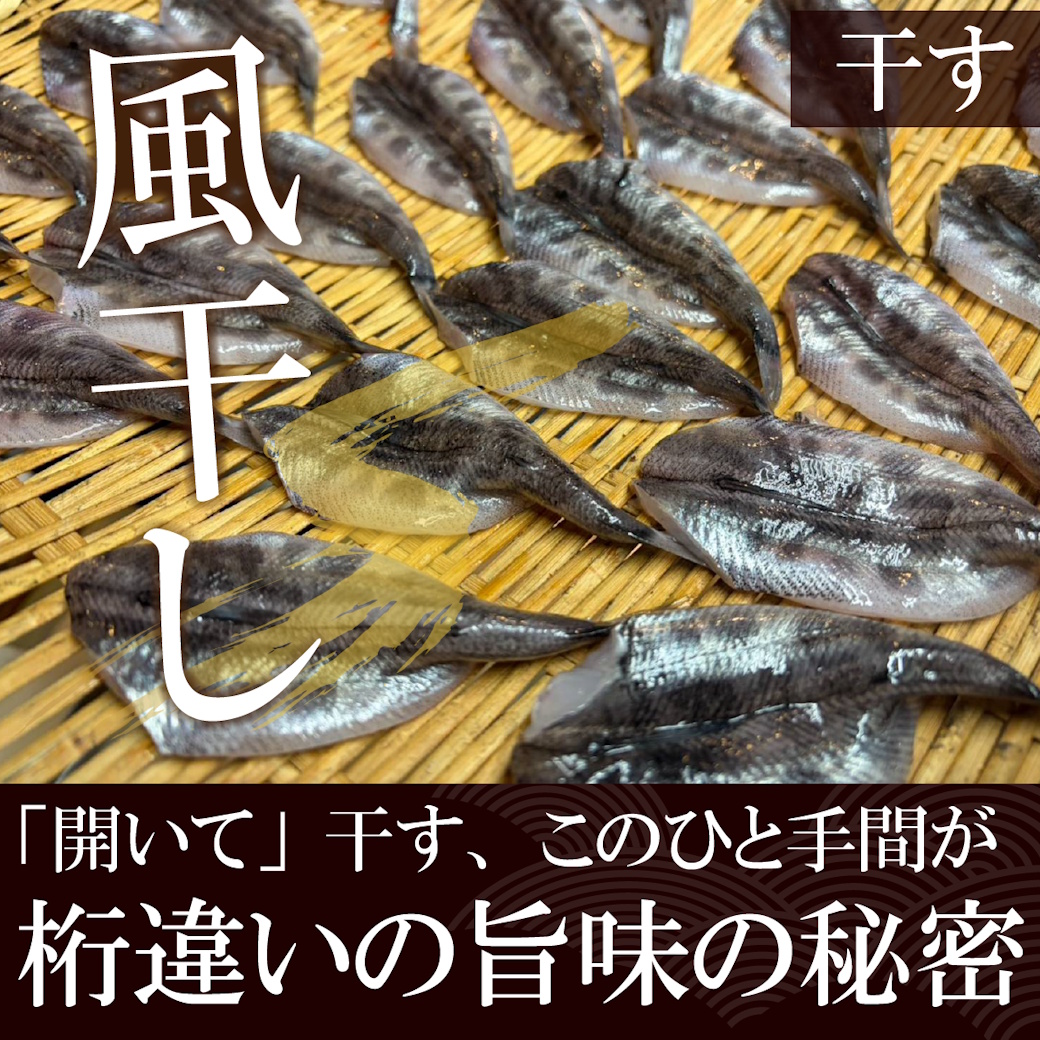 【魚匠の一夜干し】愛知県産めひかり