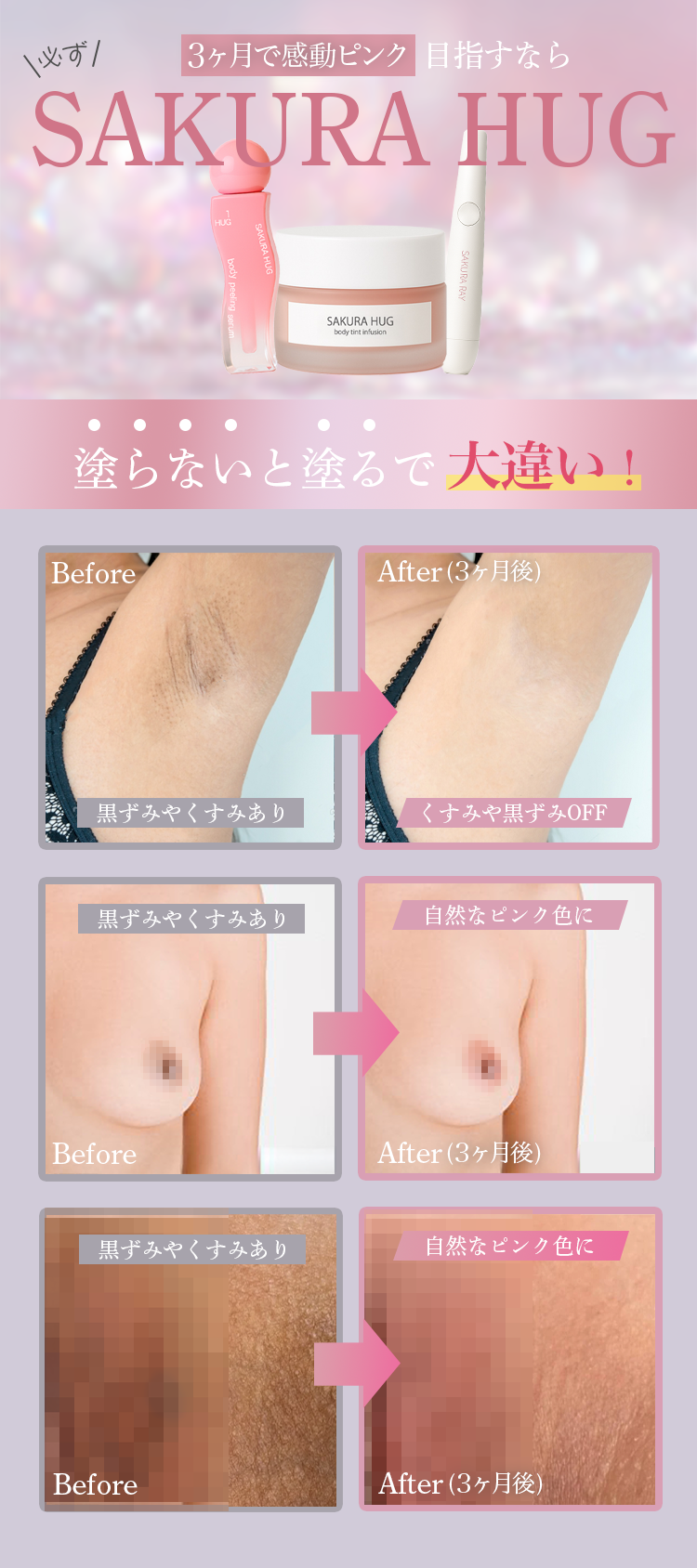 セクション画像2