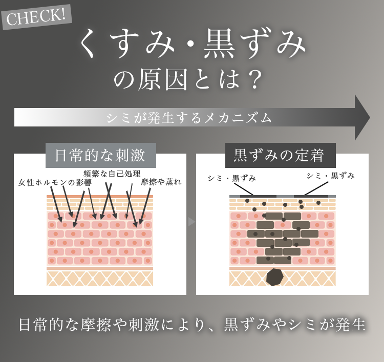 セクション画像7