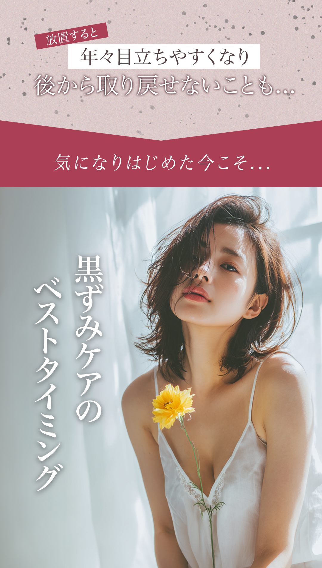 セクション画像5