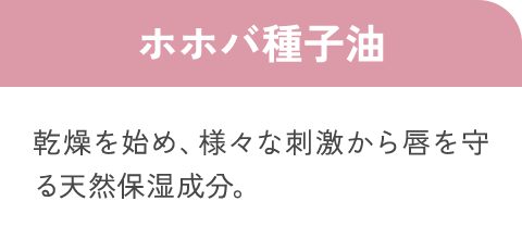 ホホバ種子油