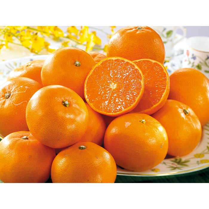 【訳あり】一品一会 愛媛県産 露地せとか 4.5kg前後 1箱：4.5kg前後（14~27玉）