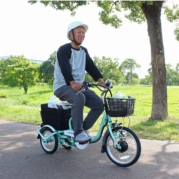 ミムゴ ACTIVE PLUS 【組立納品/前後カゴカバー付き】ノーパンク電動アシスト三輪自転車 ロータイプ 18インチ MG-TRM18APN 1台