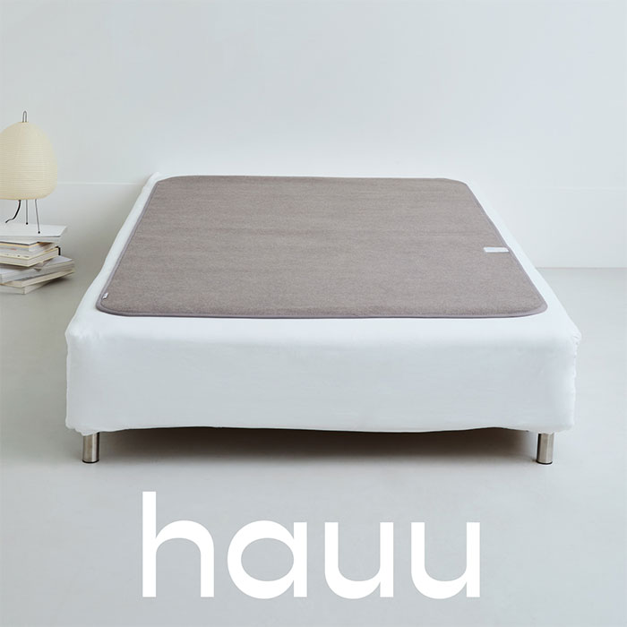 nishikawa hauu（はう） 除湿シート CZ05056506 2点セット