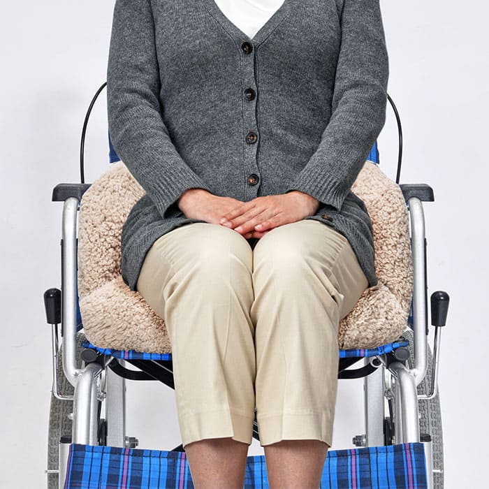 アイデアランズ 充電式あったかもこもこクッション S-0207 1個