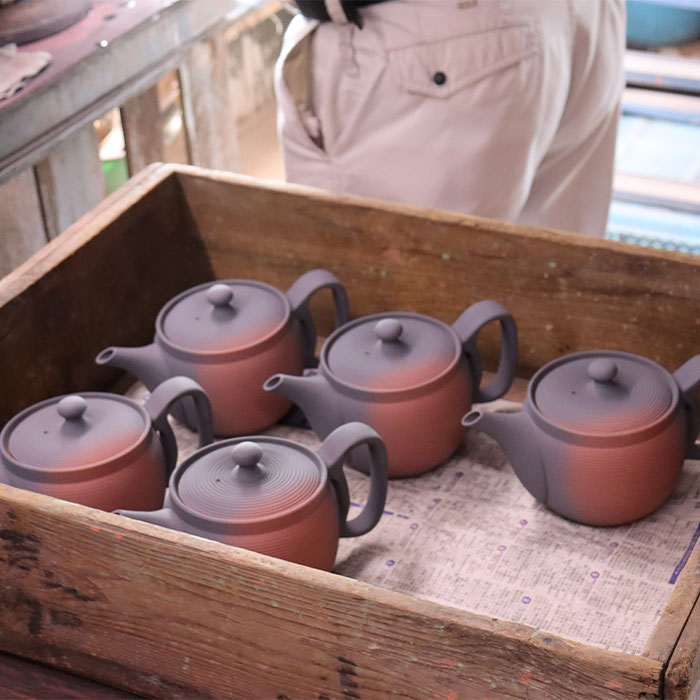 富仙窯 お手入れが楽な200メッシュ畳織フィルターの珈琲急須 T-0269 1個