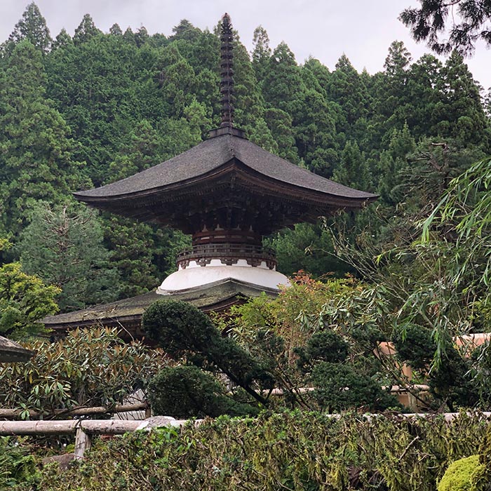 MORITA 是空 高野山金剛三昧院祈祷 十二支御守り本尊 T00254 1体