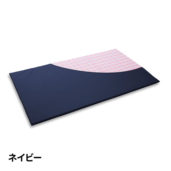ピーエーエス Recover-lay セミダブル 1個
