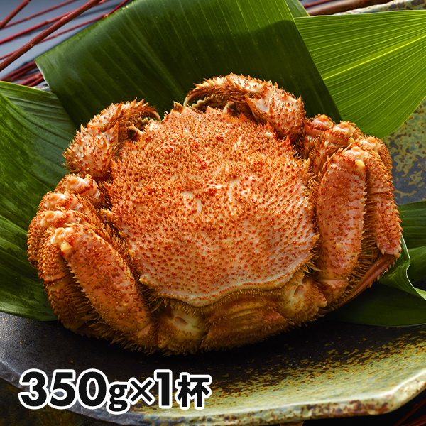 北海道産 ボイル毛がに姿 1杯 1セット：350g×1杯