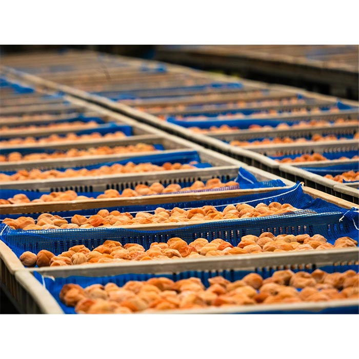 【訳あり・大容量】愛須食品 和歌山県産 紀州南高梅 梅干家あいす 鹿児島県産かつお節使用 かつお梅干し 750g 