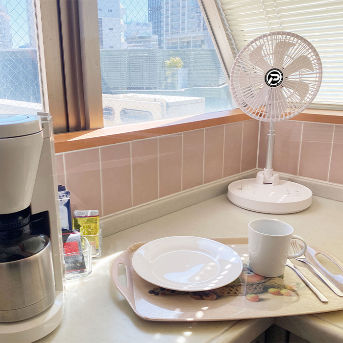 PANERGY コードレス 扇風機 サーキュレーター（25cm） PAN-PC10 1台