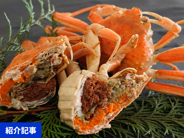 数量限定の訳あり品！「兵庫県香住産 セコガニ」一度食べるとやみつきに！？