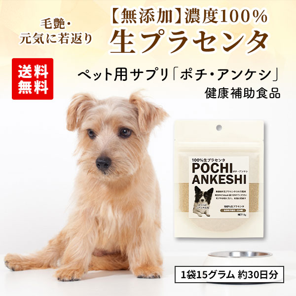 白老プラセンタ 【無添加】生プラセンタ （ポチ・アンケシ）ペット用サプリメント 1袋15g（約30日分）
