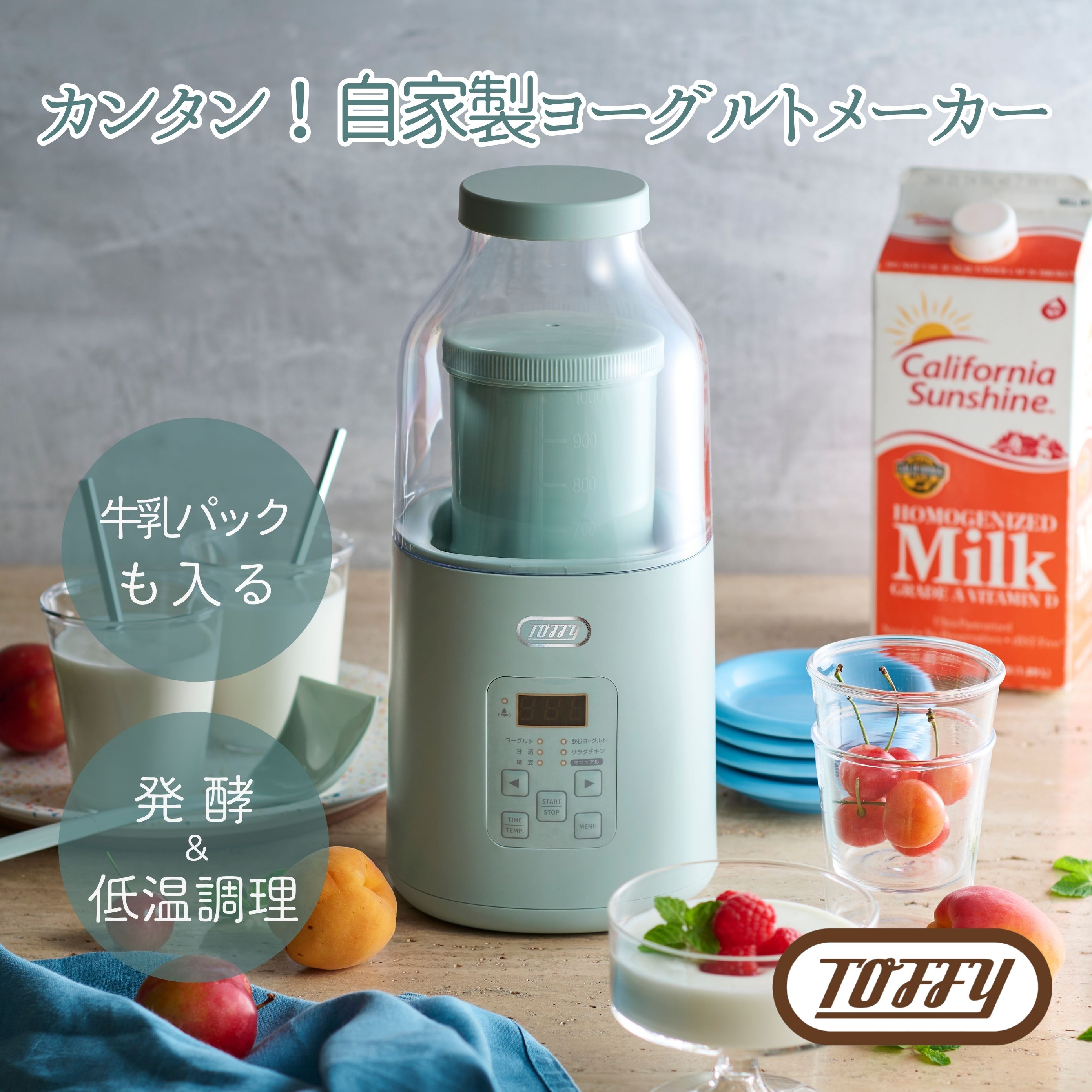 ラドンナ Toffy ヨーグルトメーカー K-YM1 1個