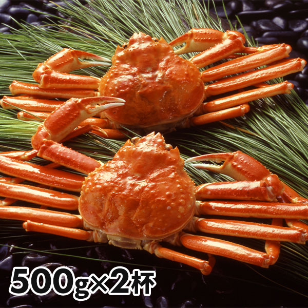 ボイルずわいがに姿 2杯 1セット：500g×2杯