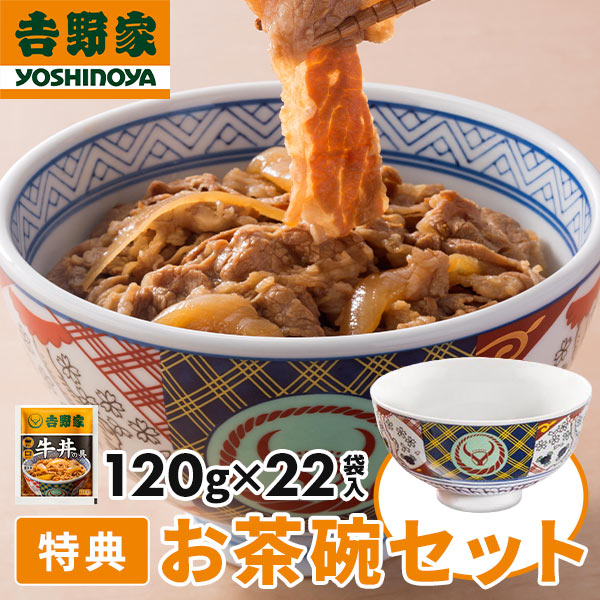 【数量限定】 吉野家 牛丼の具 22袋入 お茶碗セット 1セット：1袋（120g）×22袋