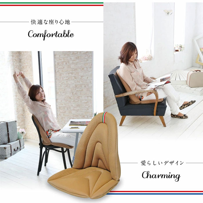 Mission Praise ジムドライブ4 E-ラインオフィス用高機能サポートクッション 1個