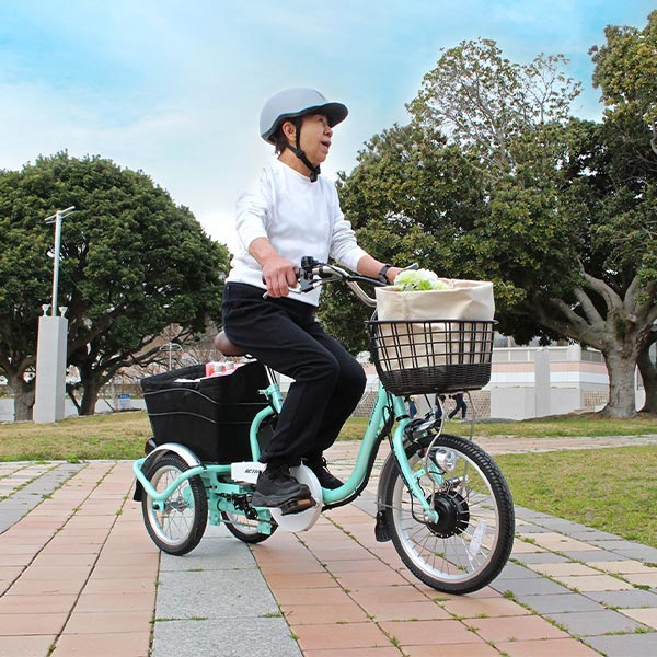 ミムゴ ACTIVE PLUS 【組立納品/前後カゴカバー付き】ノーパンク電動アシスト三輪自転車 ロータイプ 18インチ MG-TRM18APN 1台