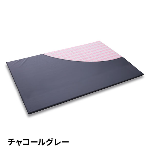 ピーエーエス Recover-lay ダブル 1個