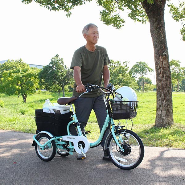 ミムゴ ACTIVE PLUS 【組立納品/前後カゴカバー付き】ノーパンク電動アシスト三輪自転車 ロータイプ 18インチ MG-TRM18APN 1台