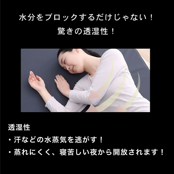 ピーエーエス Recover-lay　シングル 1個