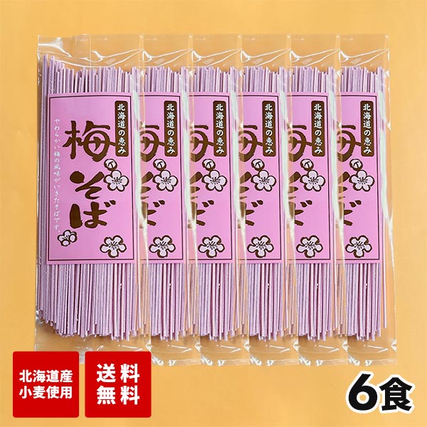 マルワ製麺 北海道産 梅そば 6食