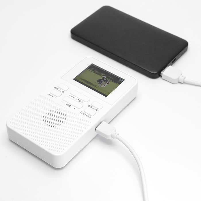 クマザキエイム 乾電池式 ポケットワンセグTV＆ラジオ 1台