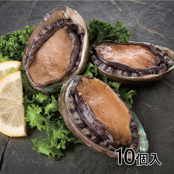 冷凍殻付き蝦夷あわび 1セット（10個入）