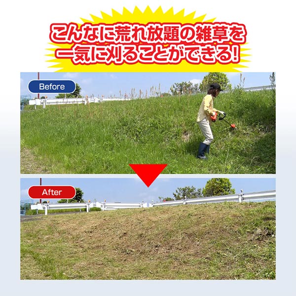 ファミリー・ライフ ファミラ 最新型充電式コードレス4WAY草刈り機 24点セット 04417 1箱
