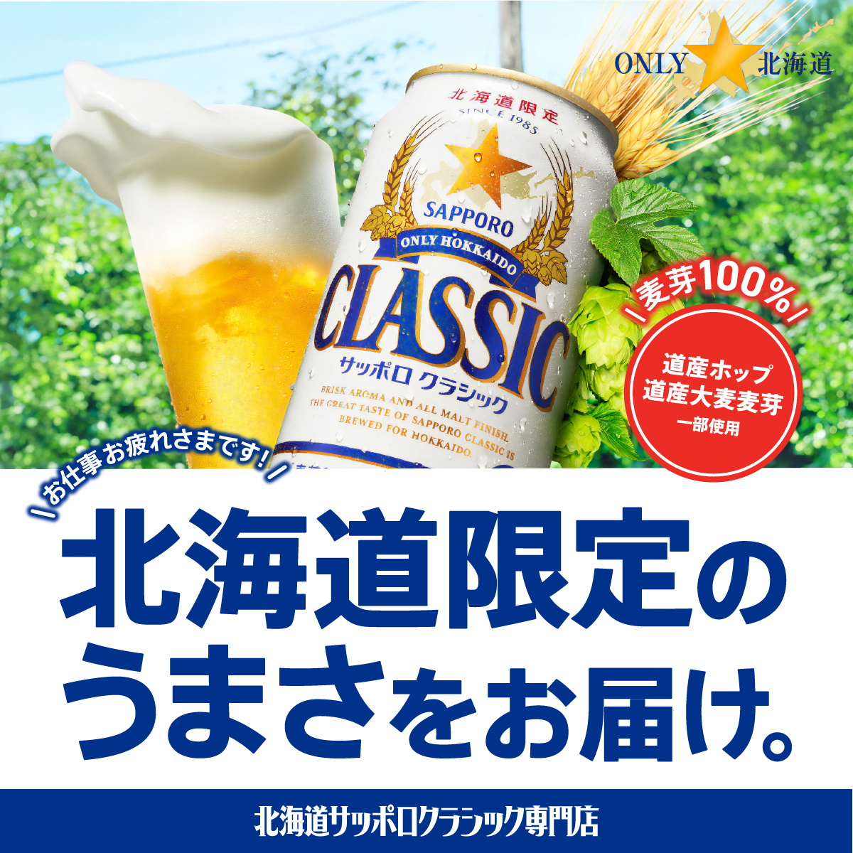 サッポロクラシック富良野VINTAGE2026 350ml×24缶
