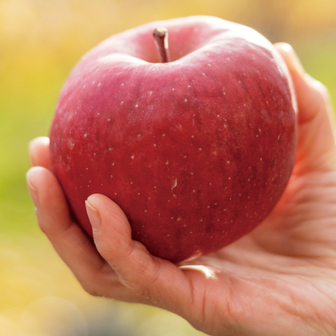 アップルパイ6個