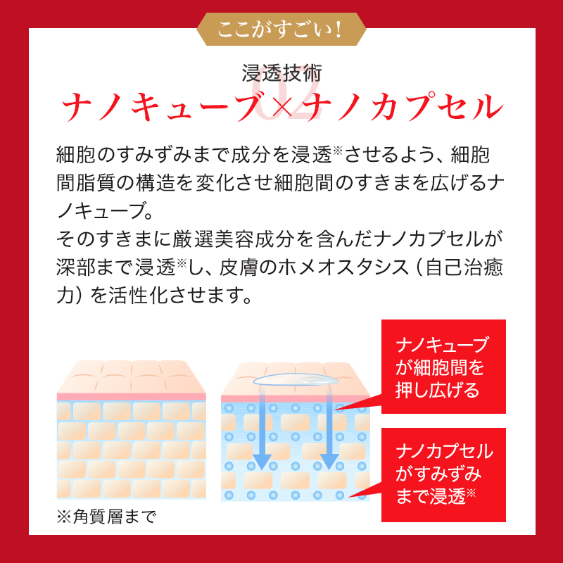 【定期】SBC MEDISPA ナノメソッドVA