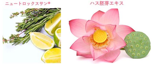 成分１