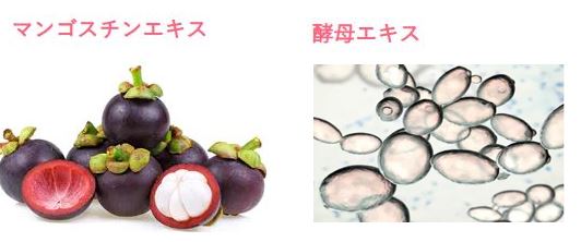 成分4