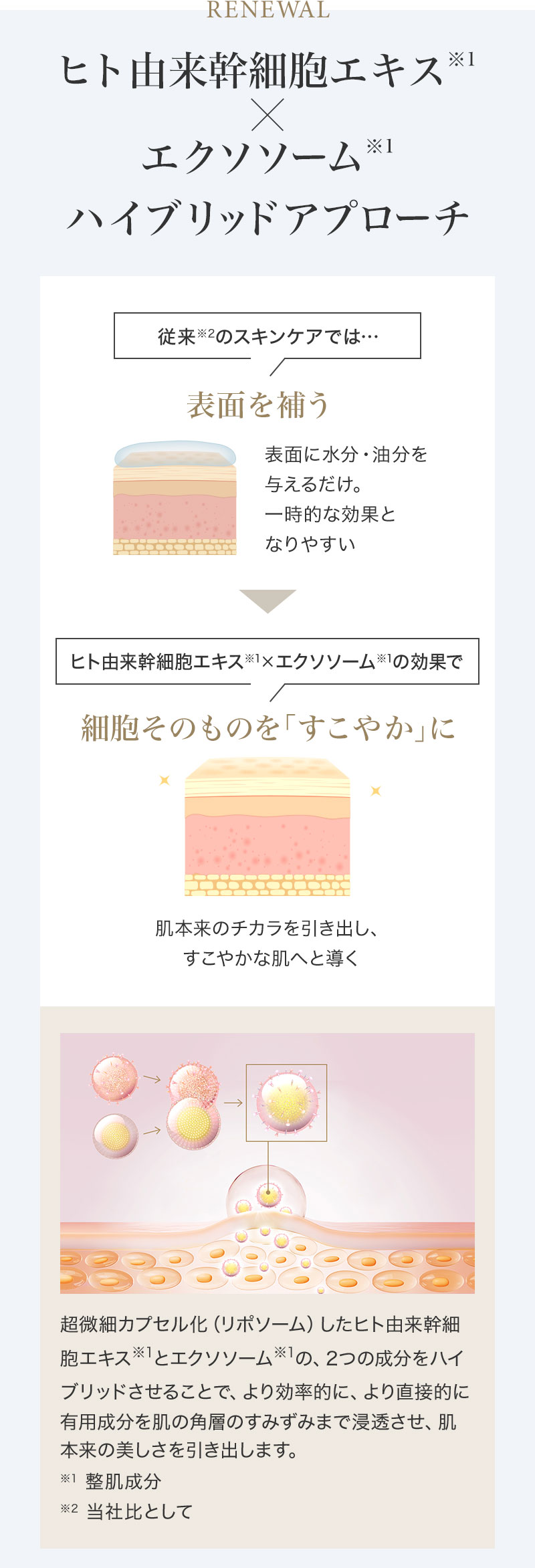 SBC MEDISPA 商品特徴