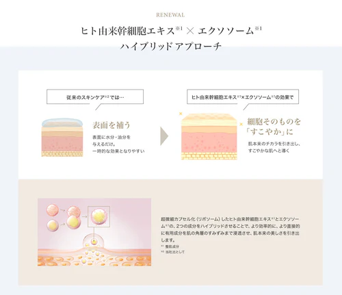 SBC湘南美容クリニックオンラインストア