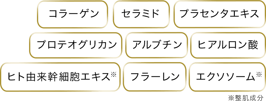 メディスパシリーズ