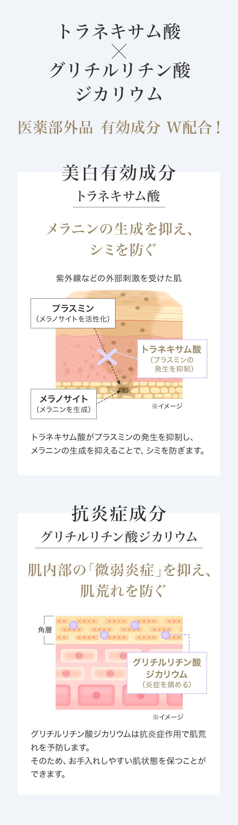 whitebodymilk_seibun