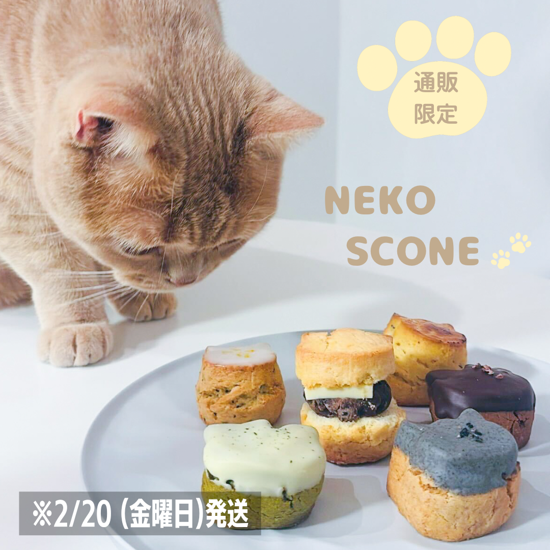 猫スコーン便　2/20(金)発送