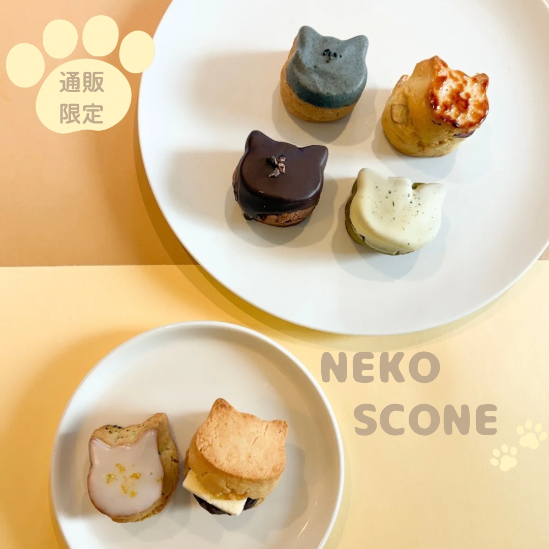 猫スコーン便　2/20(金)発送
