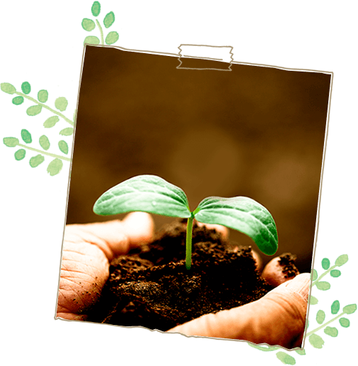 笑顔のタネを育てよう。ここほまれです。