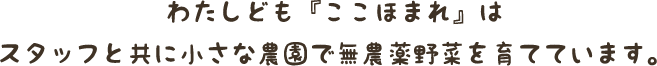 わたしども『ここほまれ』はスタッフと共に小さな農園で無農薬野菜を育てています。